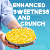 Freeze Dried Fruit Crunch Lemon Candy Sour 5 oz