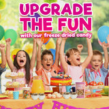 Freeze Dried Ice Cream Sandwich Bites Neapolitan