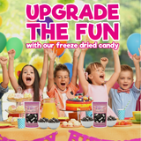 Freeze Dried Ice Cream Sandwich Bites - Cookie Crunch - Crunchy & Sweet Snack 2oz