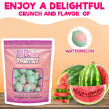 Freeze Dried Salt Water Taffy Large - Watermelon 2.75 oz